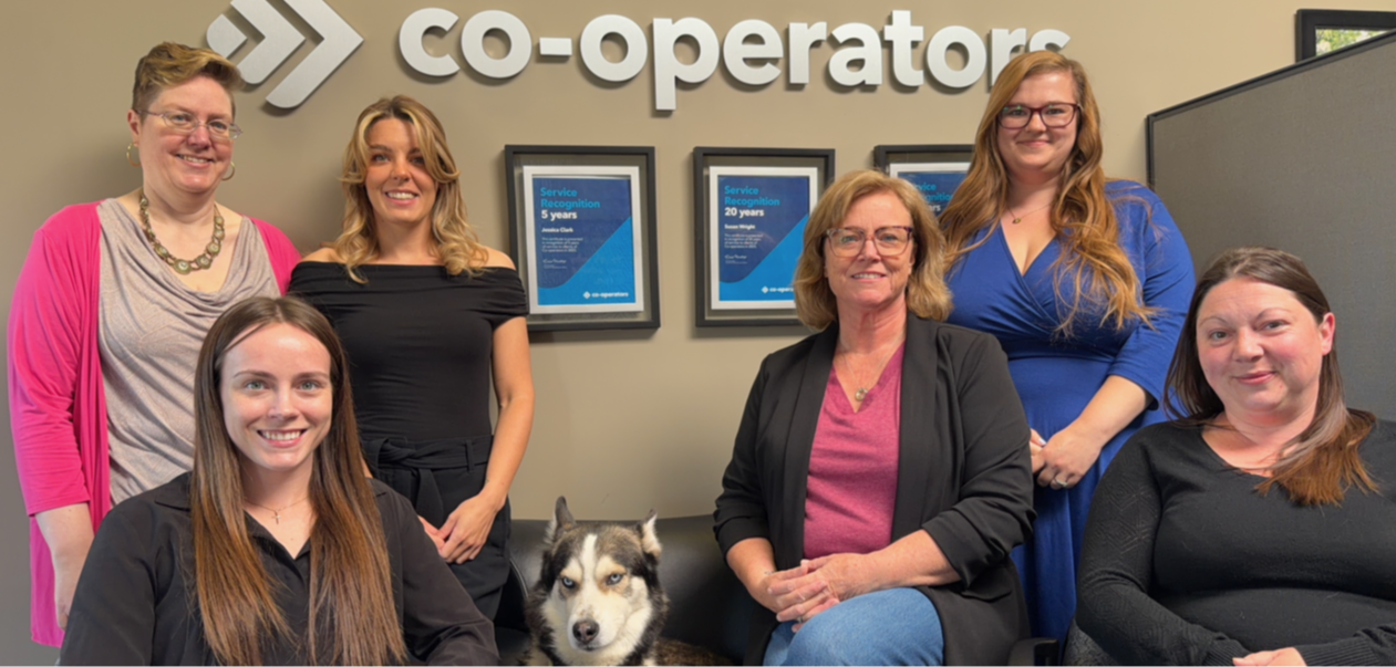 Meet our team