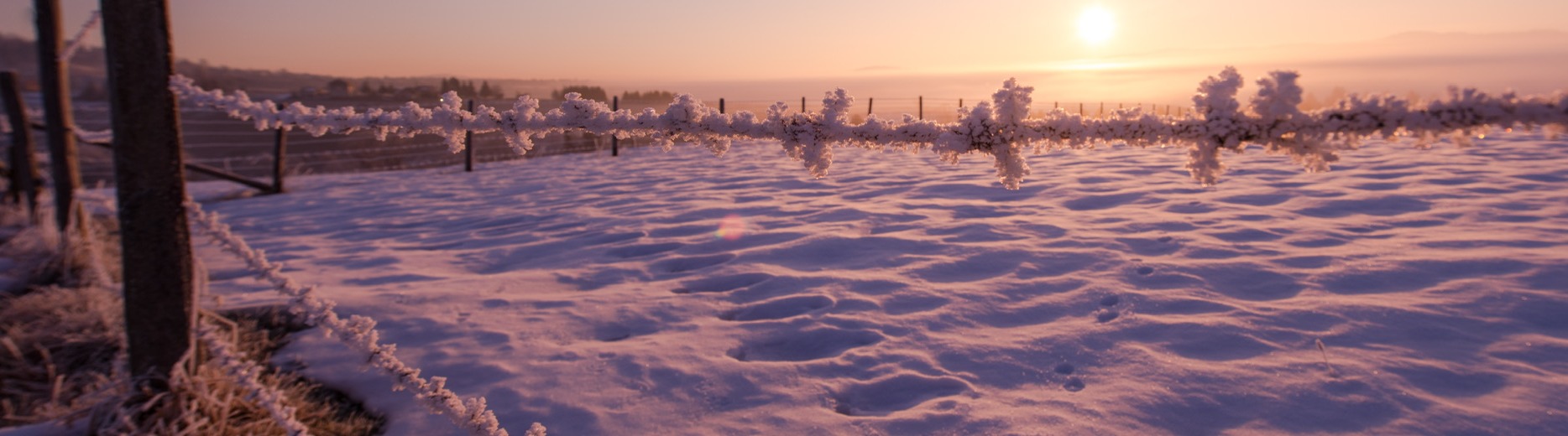 Financial Strategies for you and your business