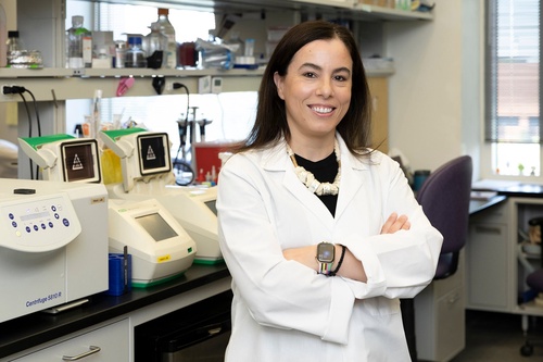 A missing protein may hold key to rejuvenating aging blood cells