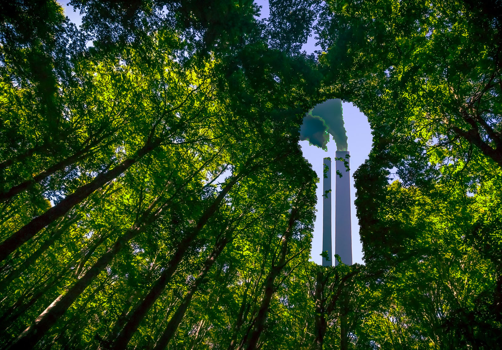 Greenwashing rules to be scaled back, but scope of change remains unclear | Advisor.ca