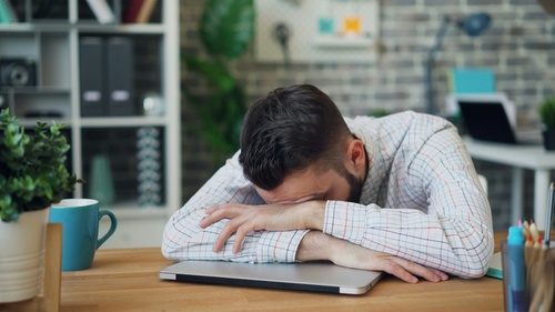 Sleep patterns linked to variation in health, cognition, lifestyle and brain organization