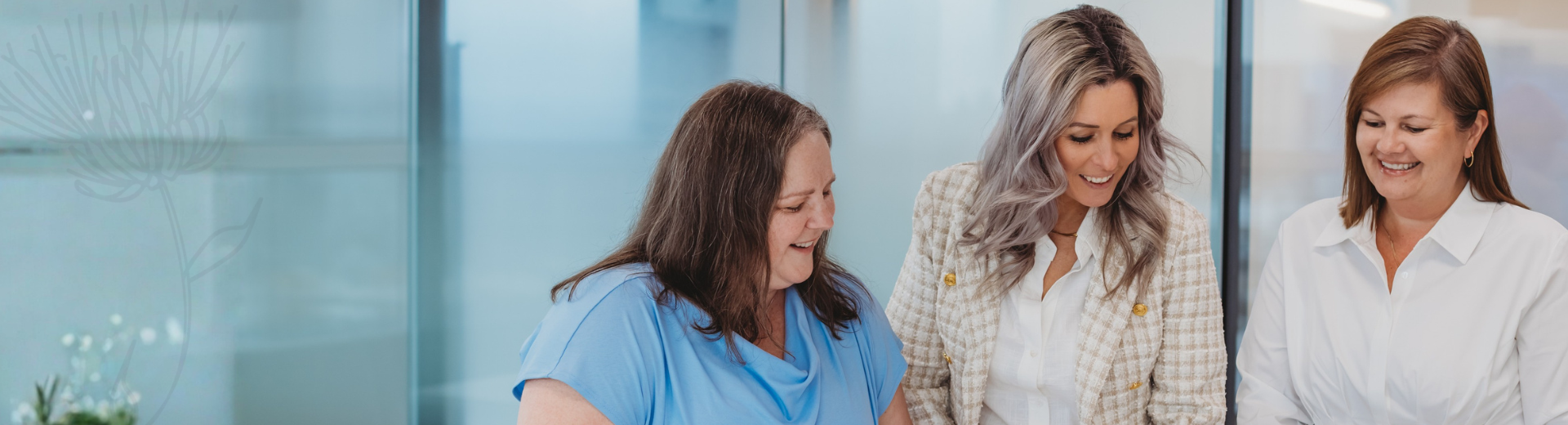 Fiero Financial Solutions Connect