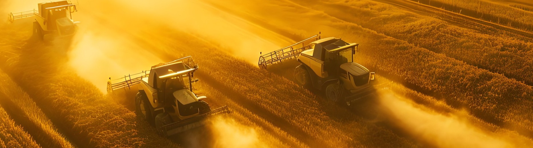 Financial Strategies for you and your business