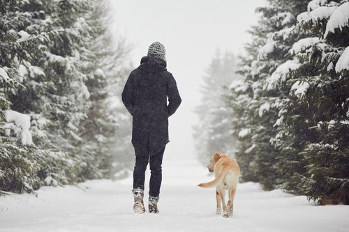 5 Really Good Reasons to Take a Walk in the Cold