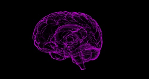CTE and normal aging are difficult to distinguish, new study finds
