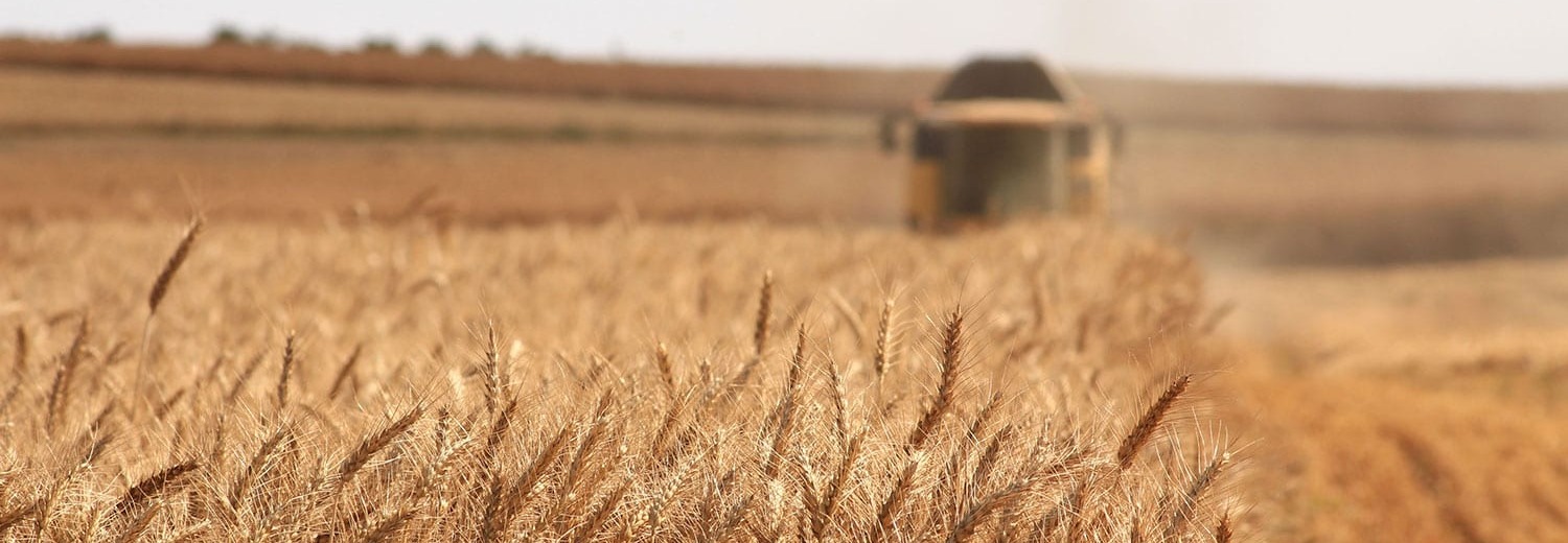 Alberta Agriculture