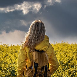 Greater clarity on the main risks to the market