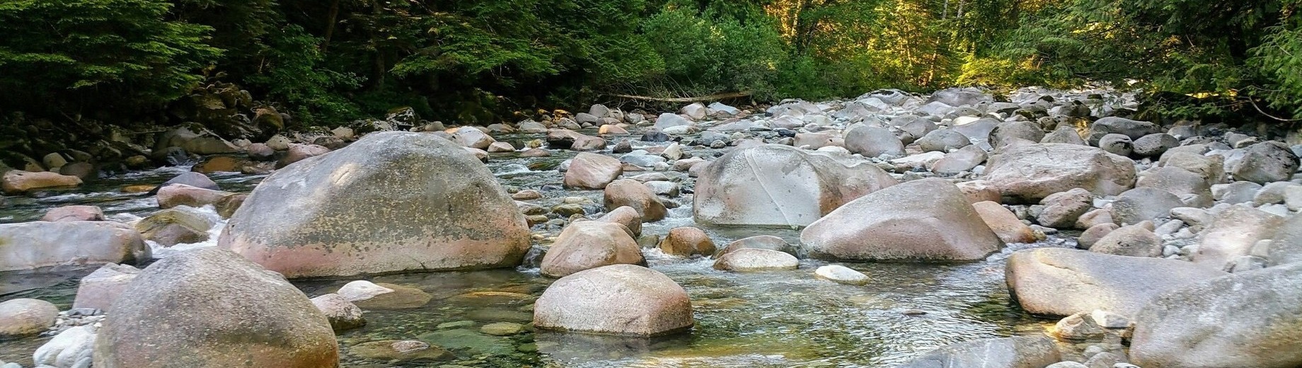 River with stones in North Vancouver Forest