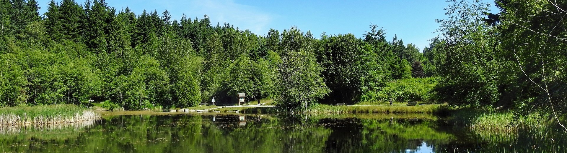 Green Timbers Park, Surrey