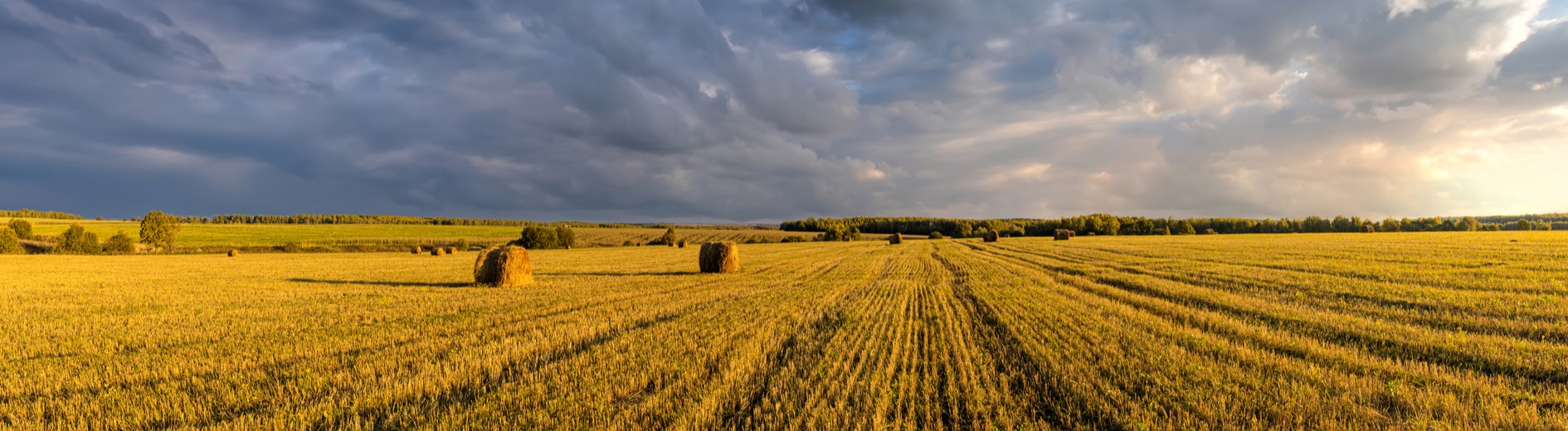 FieldView farm