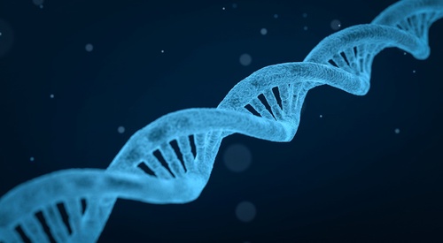 Genetic study identifies key variants linked to healthy aging and intrinsic capacity