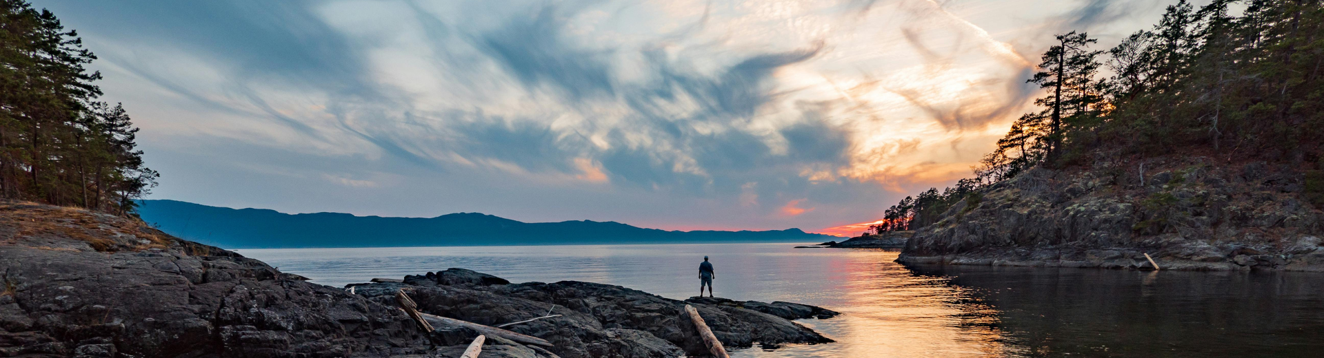 A human standing at the coast, facing the immense landscape in front of them, seeing the ocean view, the forest island nearby, and sunset. 