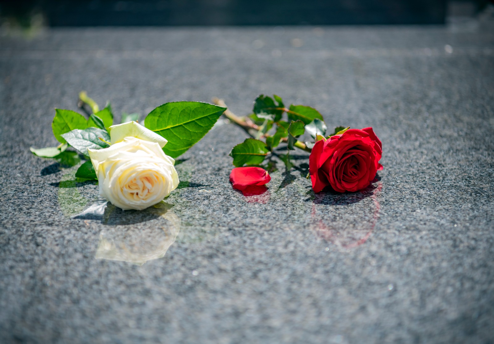 Les REER qui ne roulent pas amassent de la mousse | Conseiller