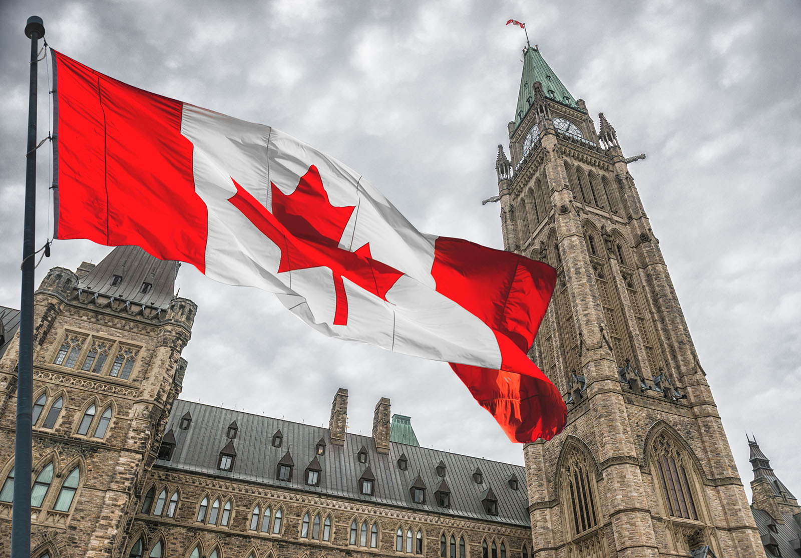 Découvrez le directeur parlementaire du budget par intérim | Conseiller