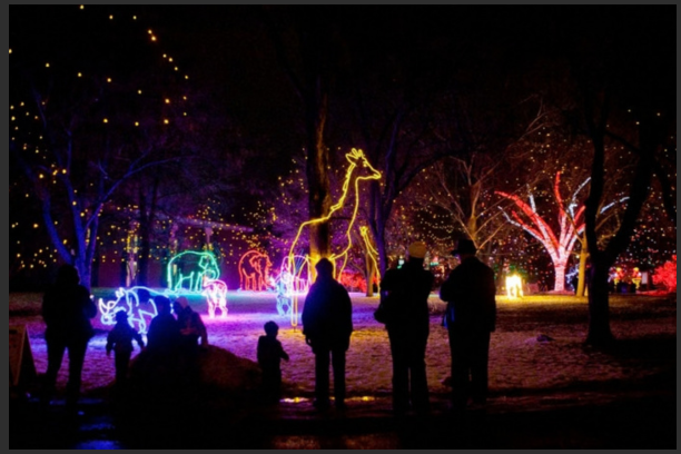 Denver Zoo Lights image