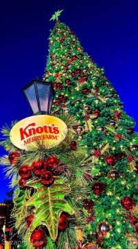 Knott's Merry Farm - Member Appreciation Event image