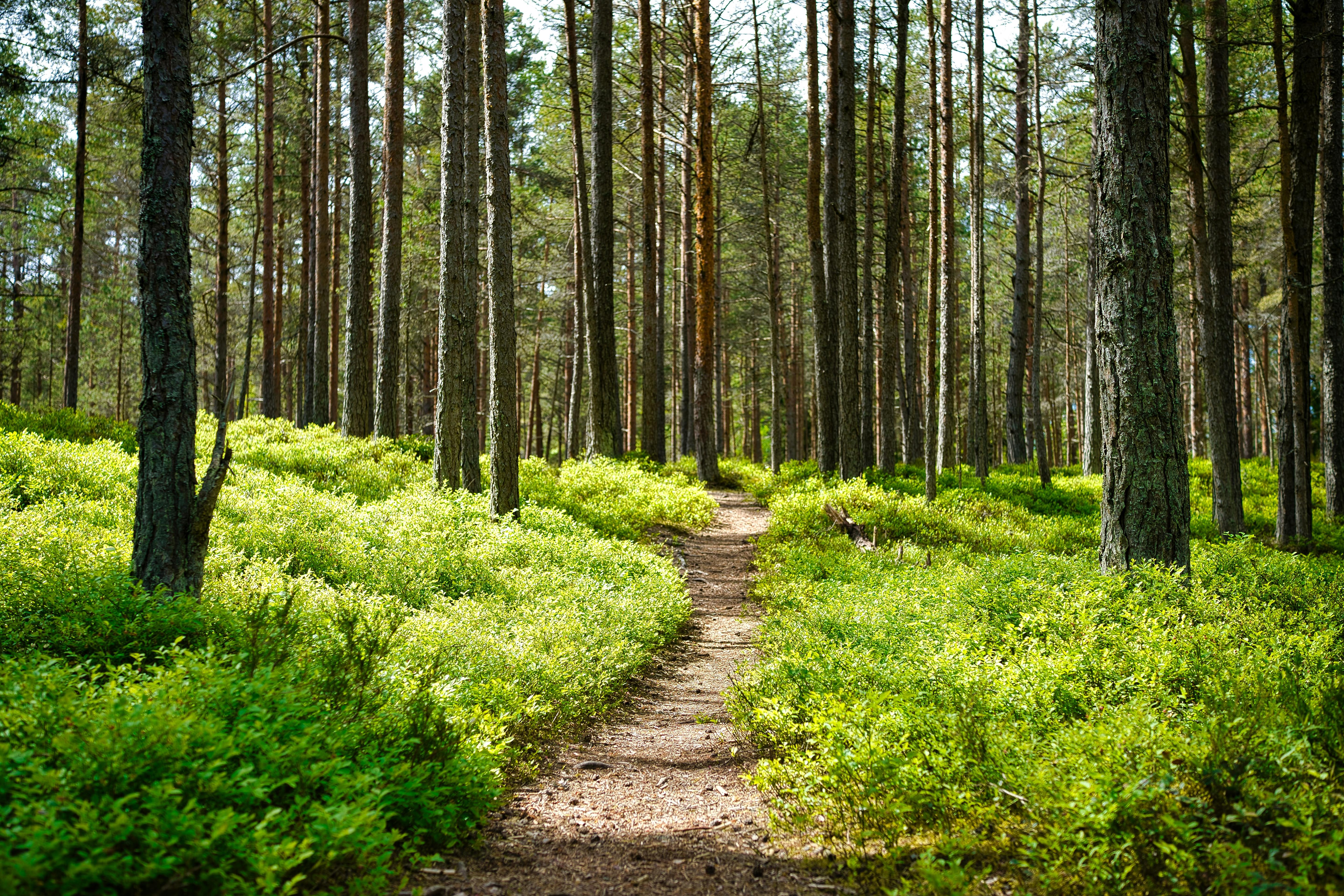 Join Us for a Community Conservation Clean-Up ? image