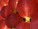 Thrivent Night at the Asian Lantern Festival | Orlando, FL image