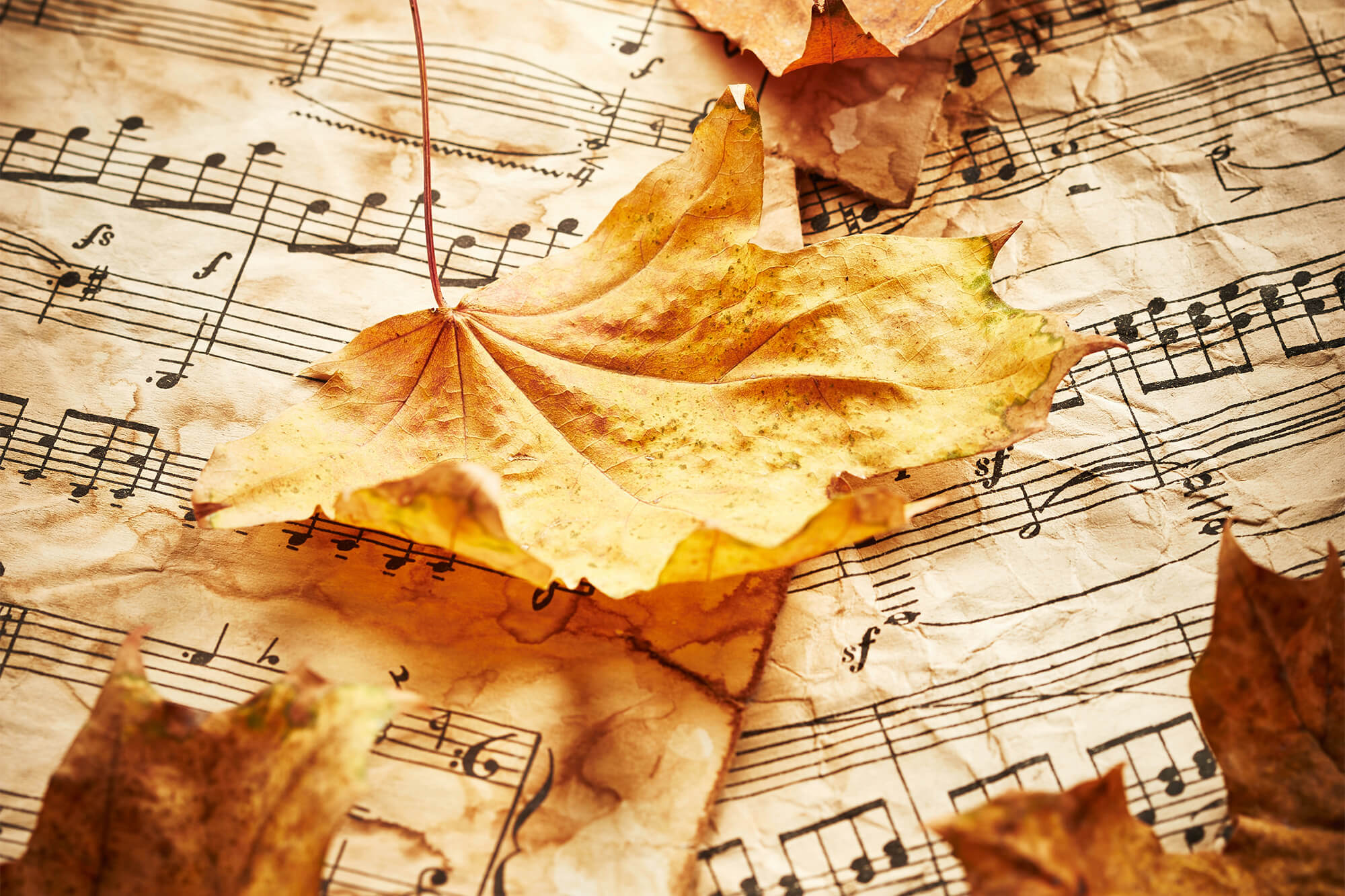 Harvest Home:  A Concert of Thanksgiving image
