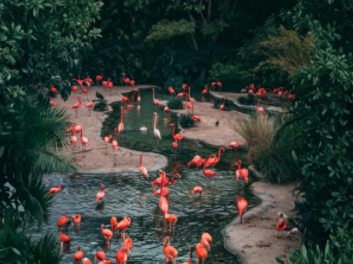 Thrivent Day at the Central Florida Zoo | Orlando, FL image