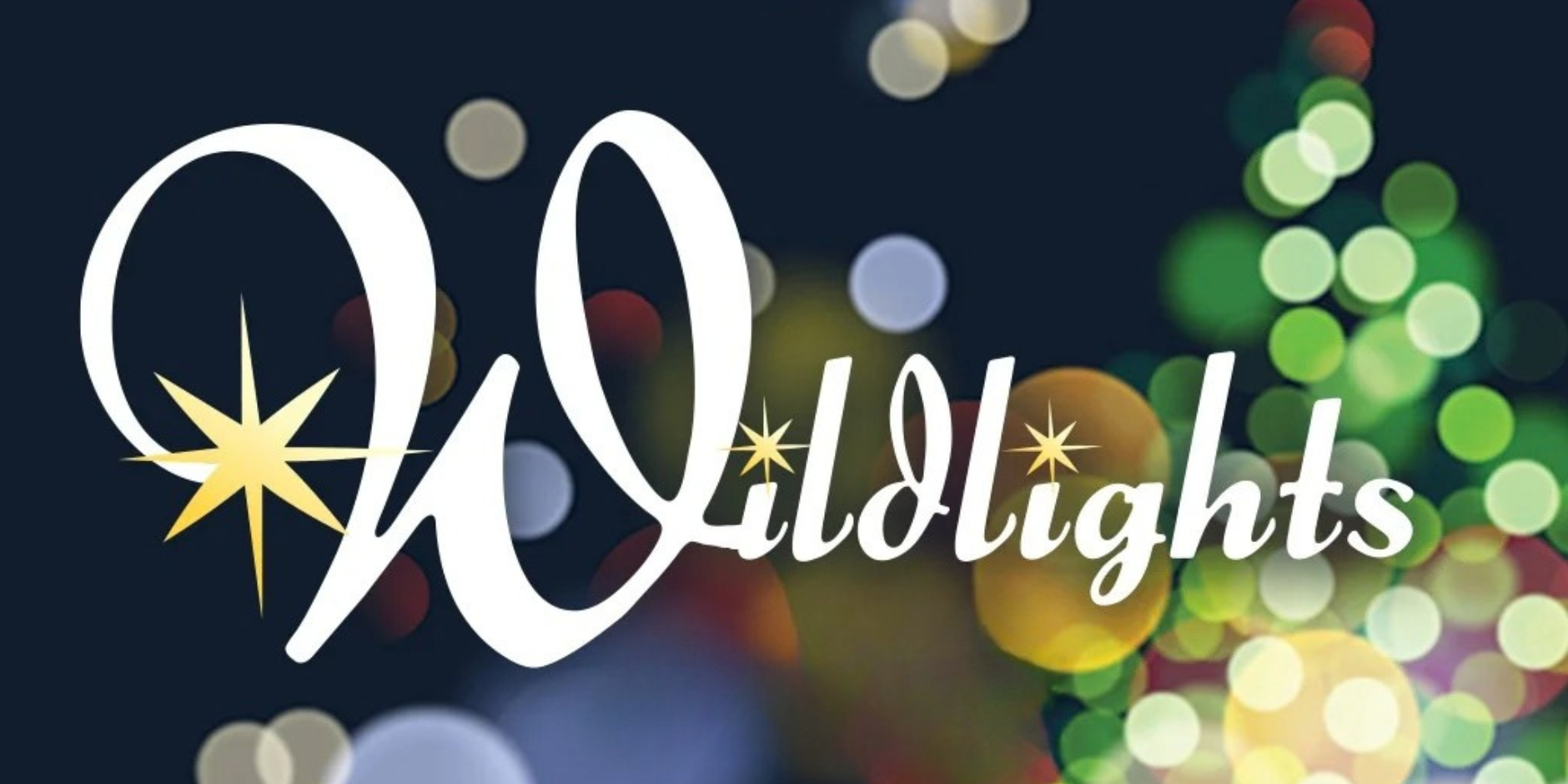Wildlights image