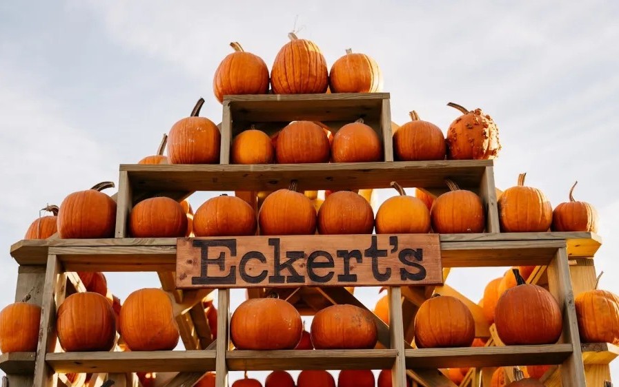 Fall Fun at Eckert's Orchard image