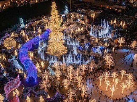 Enchant LA - Christmas Lights Experience image