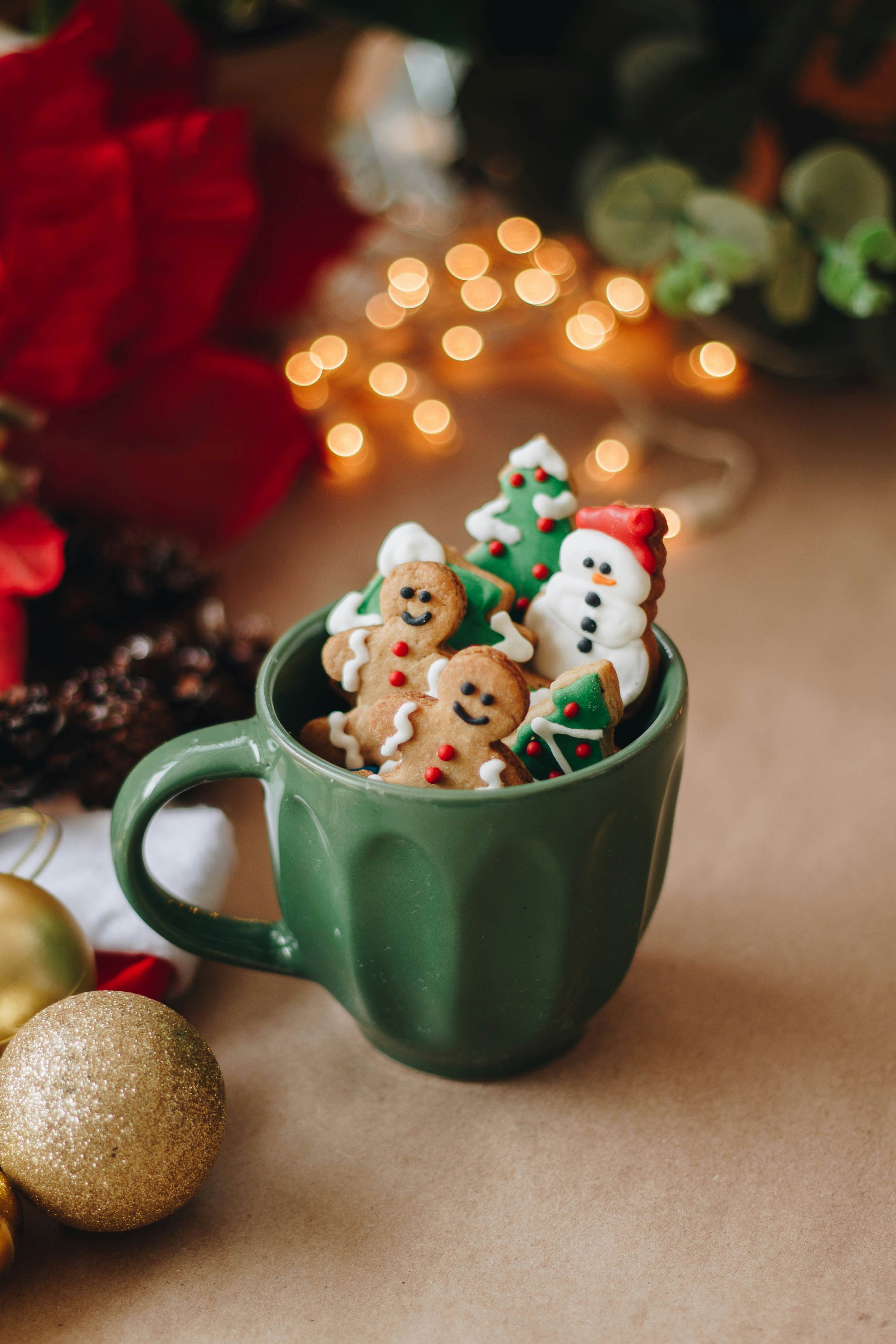 Cedar Rapids Christmas Open House image