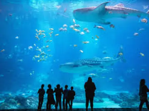 Thrivent Night at the Aquarium | Charleston, SC image