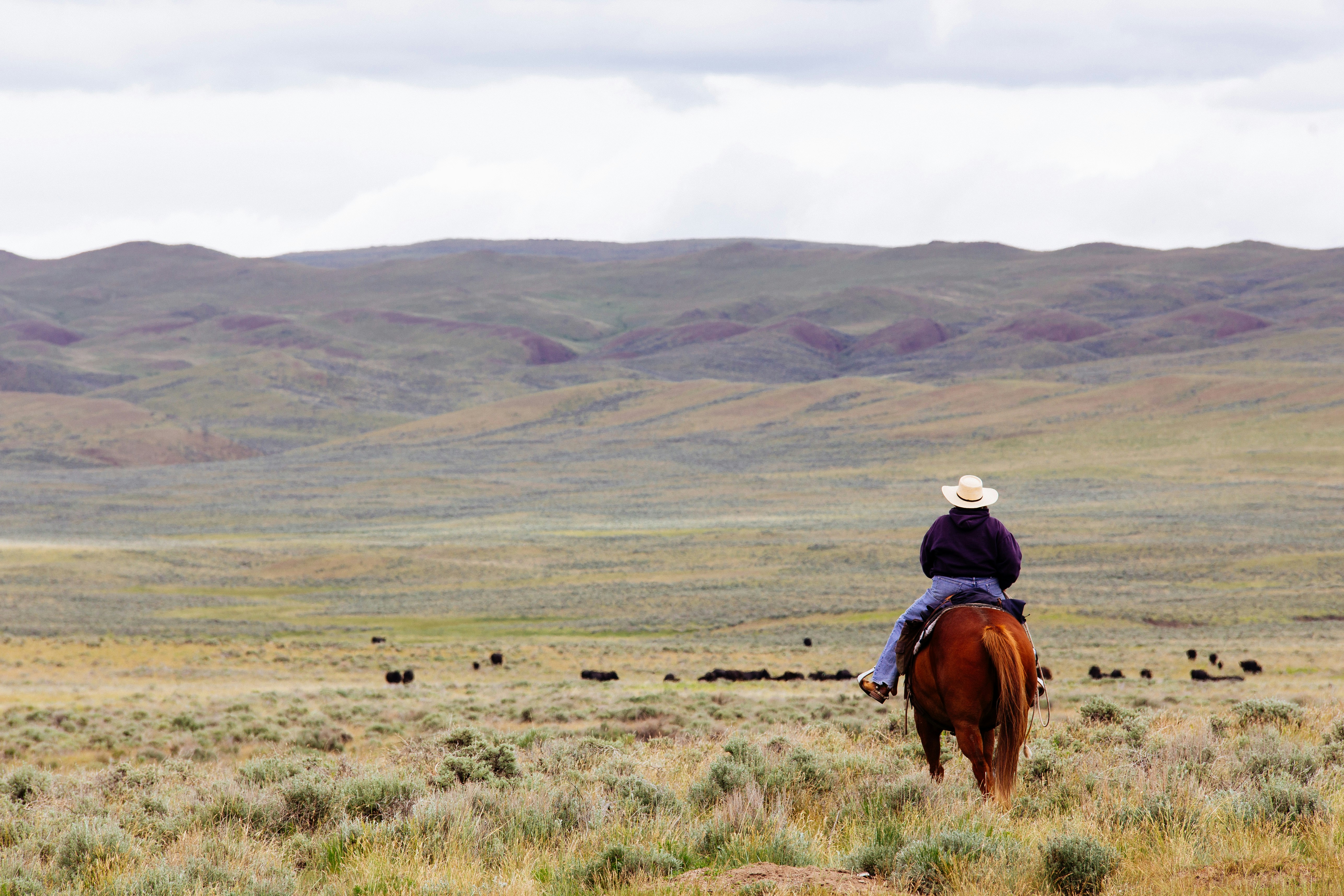 Transition Planning for Farmers and Ranchers