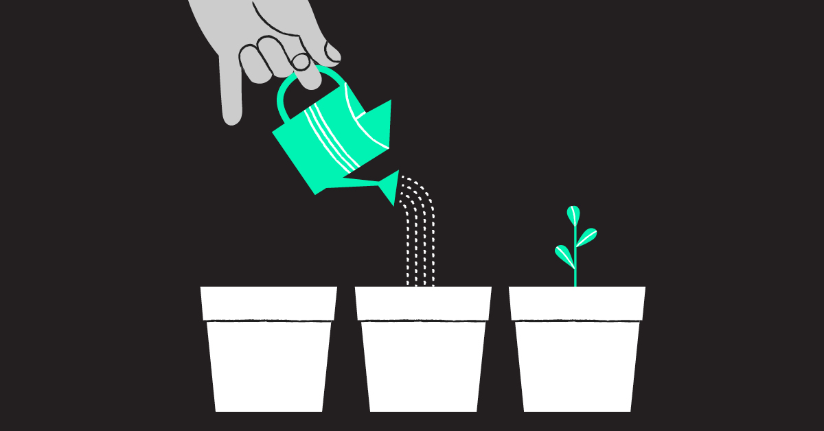 Money Canvas; Discover your Financial Confidence image