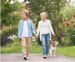 5 Phases of an IRA - St. Charles image