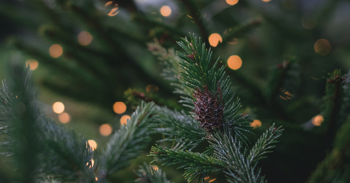 Carols for a Cause image