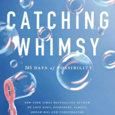 Catching Whimsy: A Fresh Start with Bob Goff