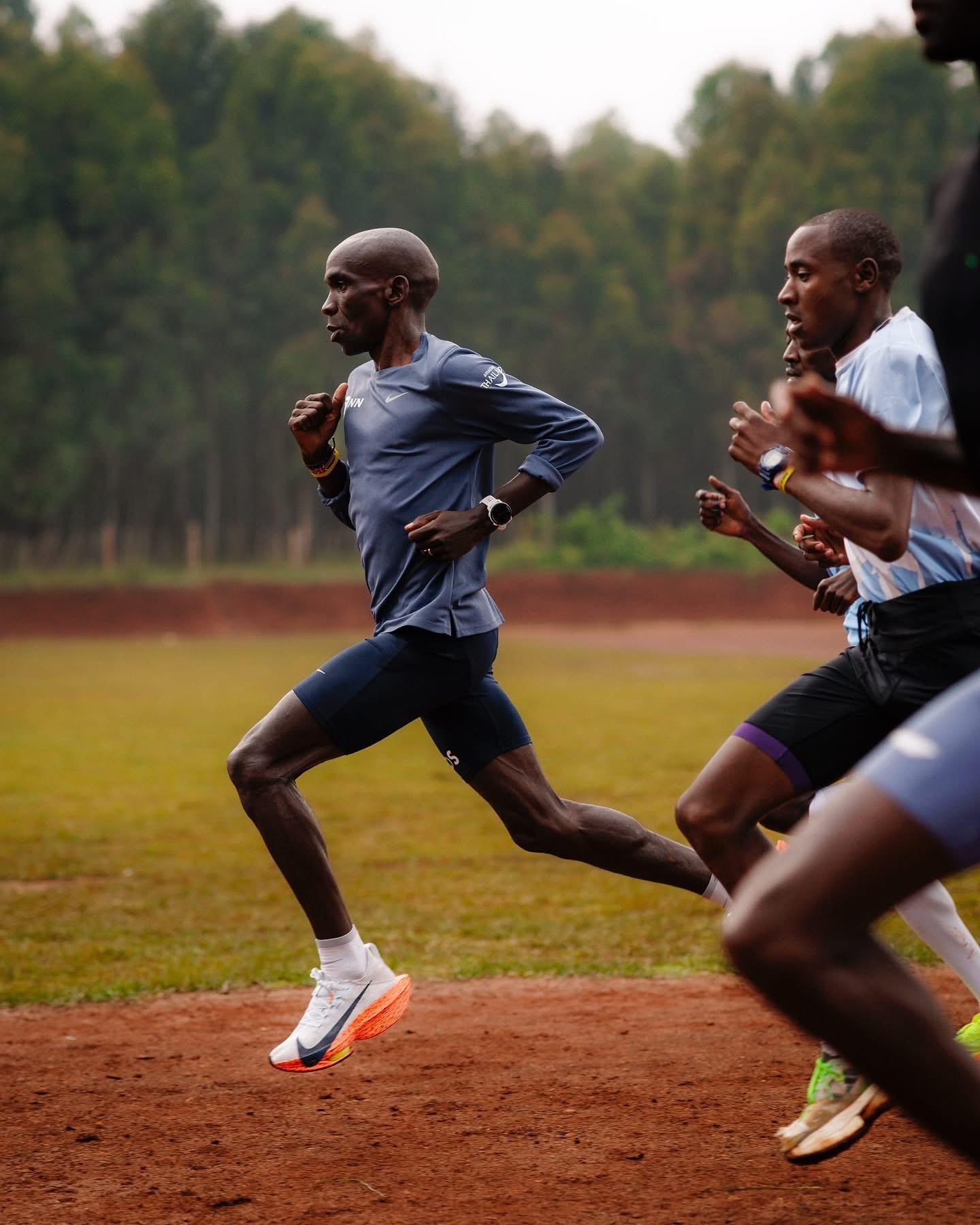 Image for Discover & Learn