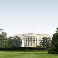 Image for 2024 U.S. Election Highlights