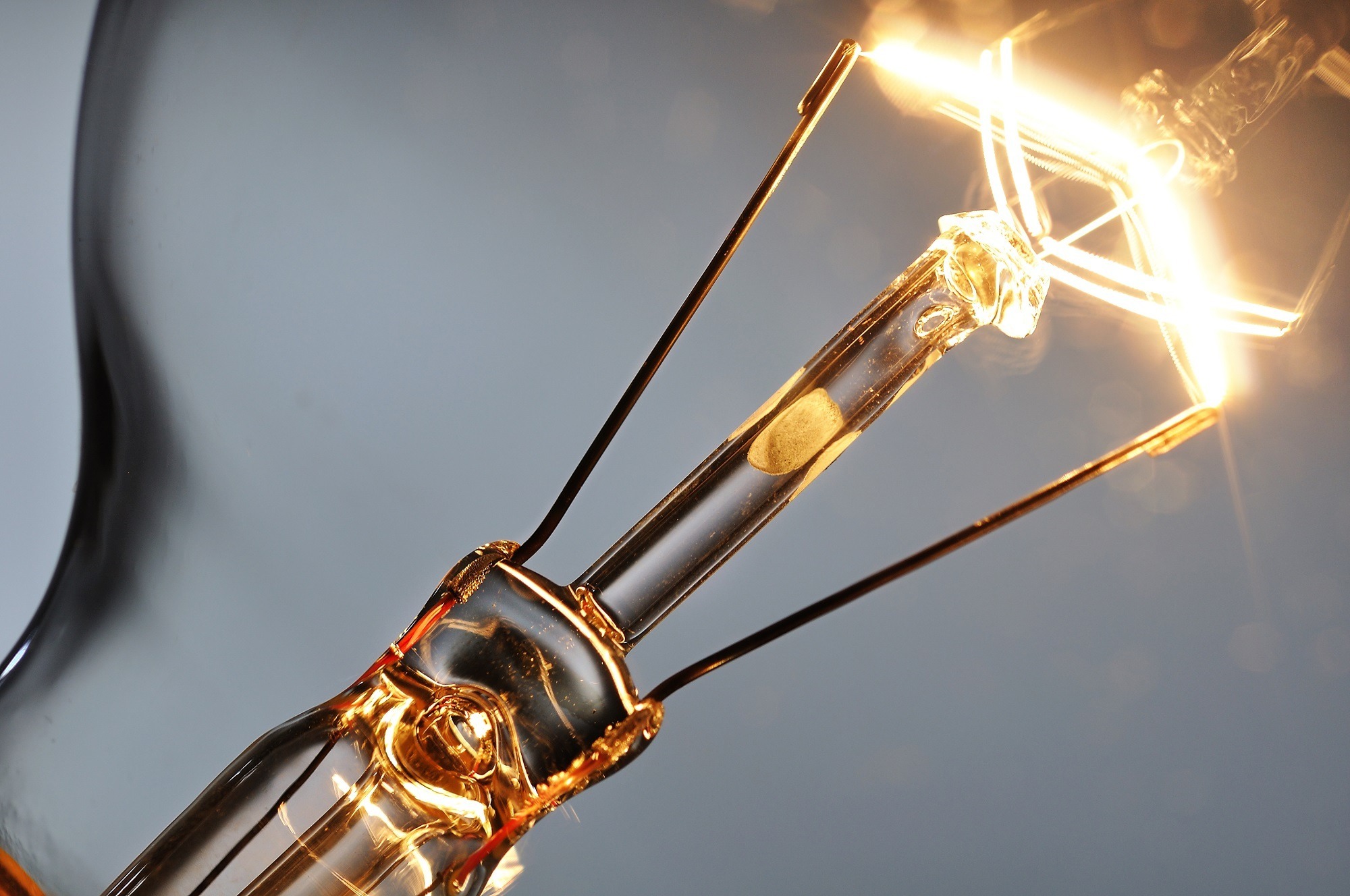 Entrepreneurs & Business Owners Photo