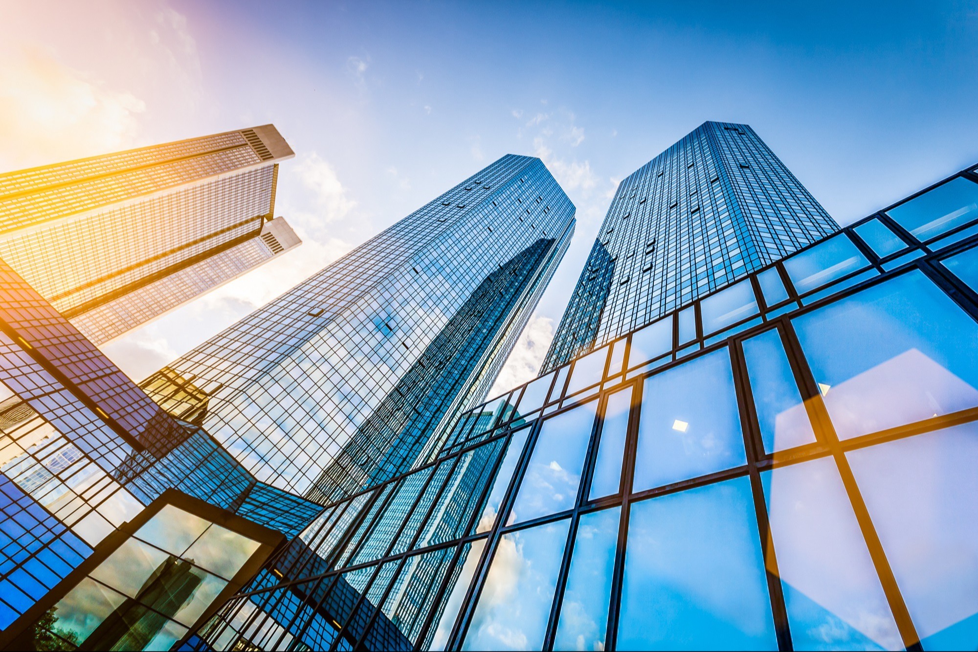 Corporate Executives Photo